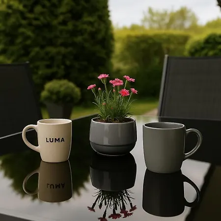 Luma Apartment